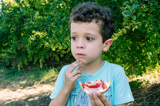 Die Natur erkunden Ein sechsjähriger Junge entdeckt den Geschmack von Granatäpfeln