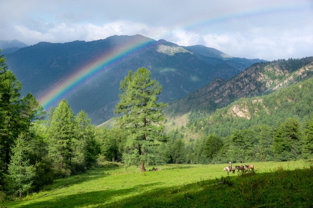 Die Natur im Altai-Gebirge