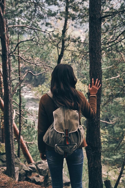 Die Natur spüren. Rückansicht einer jungen modernen Frau mit Rucksack, die den Baum berührt, während sie die Aussicht bewundert