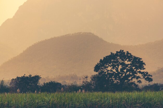 Die Naturlandschaftsansicht mit Sonnenuntergang