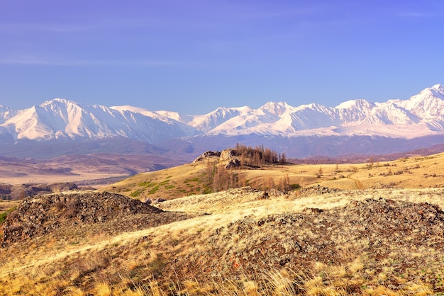 die Northchui-Gebirgskette im Altai-Gebirge Felsen und trockenes Gras am Berghang