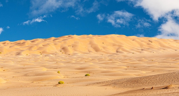 Die omanische Wüste Rub alChali im Sommer