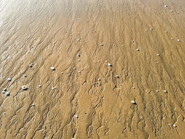 Die Perspektive der Sandstrandstruktur und des Hintergrunds