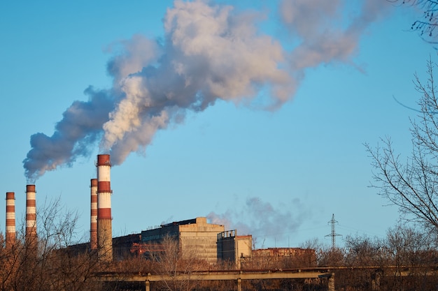 Die pflanze stößt rauch und smog aus den rohren aus