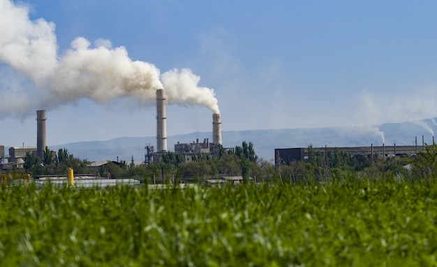 Foto die pflanze verschmutzt die umwelt. umweltverschmutzung der naturpflanze