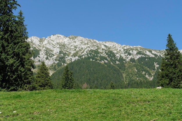 Die Piatra Craiului-Berge