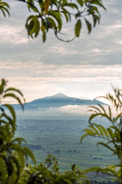 Die Präsenz von Malintzins in der mexikanischen Landschaft