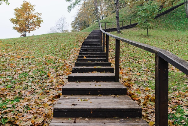 Foto die promenade und die treppe holztreppe zum klettern auf den berg holztreppe