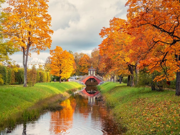 Die Querbrücke im Herbst Goldener Herbst im Katharinenpark Zarskoje Selo Alter Stadtpark mit leuchtend goldenen Ahornbäumen im Herbst an einem sonnigen Tag