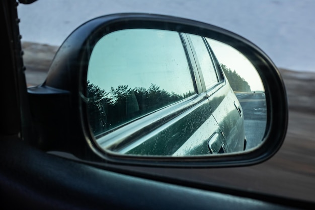 Die Reflexion im Spiegel der Autostraße und des Waldes