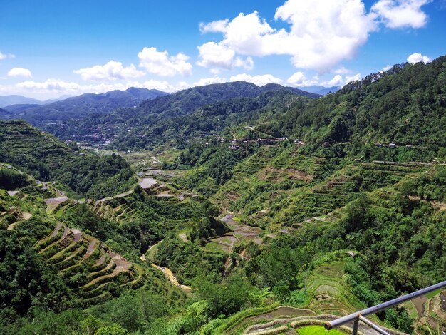 Die Reisterrassen in Banaue Philippinen