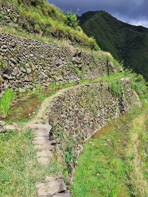 Die Reisterrassen in Banaue Philippinen