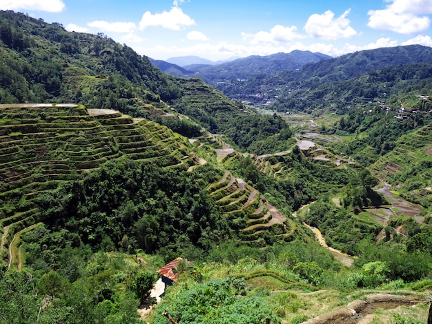 Die Reisterrassen in Banaue