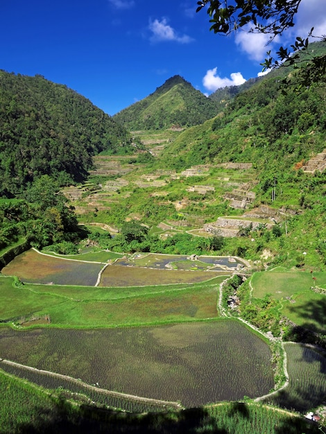 Die Reisterrassen in Bangaan Philippinen