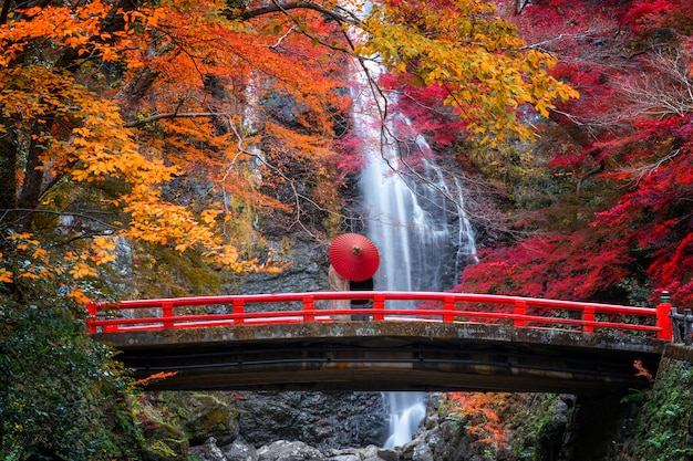 Die rote Brücke im Minoh-Wasserfall