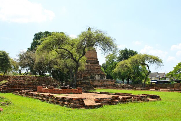 die Ruine eines buddhistischen Tempels im historischen Park Ayutthaya in Thailand