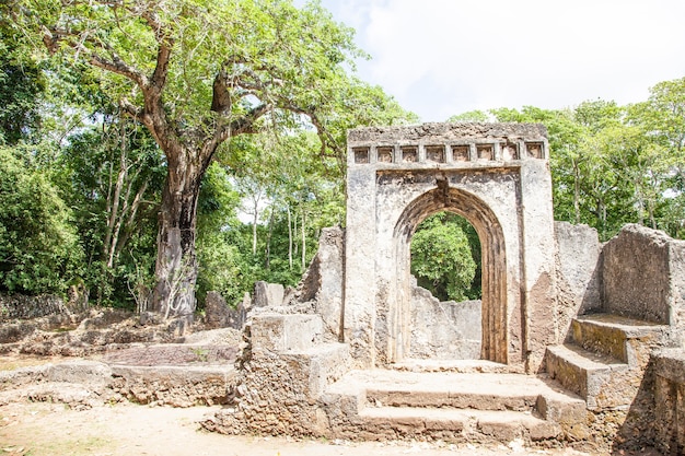 Die Ruinen von Gede in Kenia sind die Überreste einer Swahili-Stadt, typisch für die meisten Städte entlang der ostafrikanischen Küste