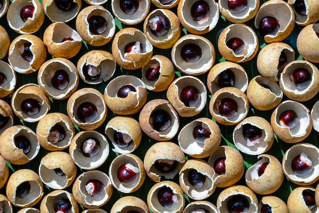 Die Schale und der Knochen aus der thailändischen Frucht Longan Longan Schale Schale und Korn Hintergrund Exotische Früchte in Thailand Nahaufnahme