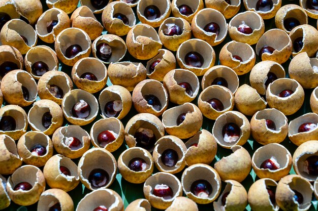 Die Schale und der Knochen aus der thailändischen Frucht Longan. Longan-Schalenoberteil und Kornhintergrund. Exotische Früchte in Thailand, Nahaufnahme