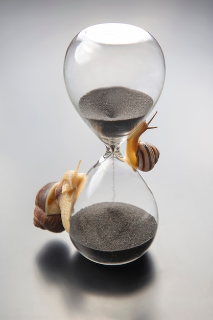 Die Schnecke krabbelt auf der Sanduhr