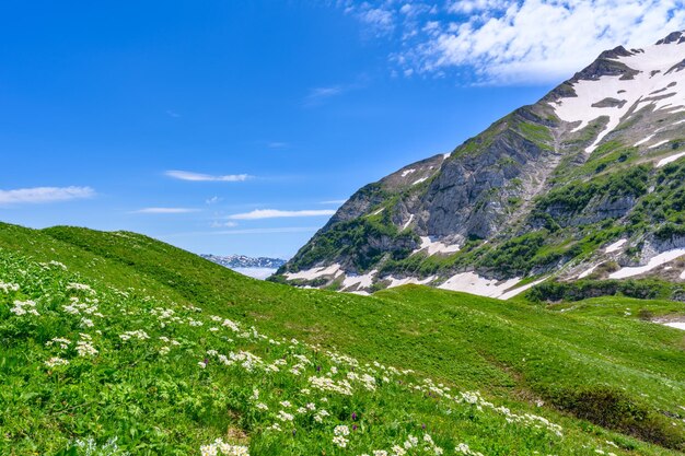 Foto die schneebedeckten berggipfel im tropischen wald