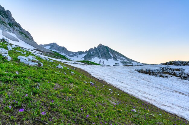 Die Schneeflächen und das grüne Gras auf den Gipfeln der Berge im tropischen Wald bei Sonnenaufgang die alpinen Berge und Wiesen