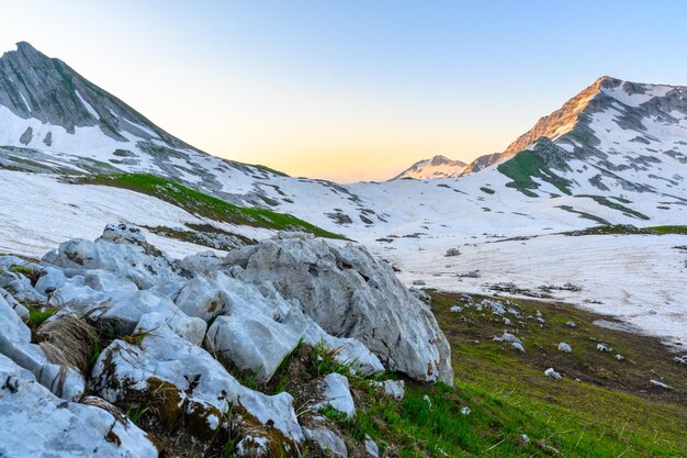 Die Schneeflocken und das grüne Gras auf den Gipfeln der Berge im tropischen Wald bei Sonnenaufgang Die alpinen Berge und Wiesen