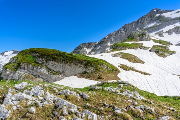 Die Schneeverwehungen und das grüne Gras auf den Bergen im Tropenwald