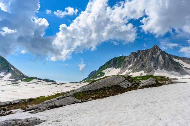 Die Schneeverwehungen und das grüne Gras auf den Bergen im tropischen Wald