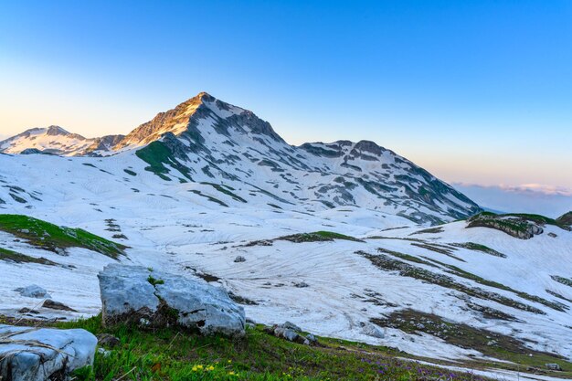 Die Schneeverwehungen und das grüne Gras auf den Gipfeln der Berge im tropischen Wald bei Sonnenaufgang. Die alpinen Berge und Wiesen