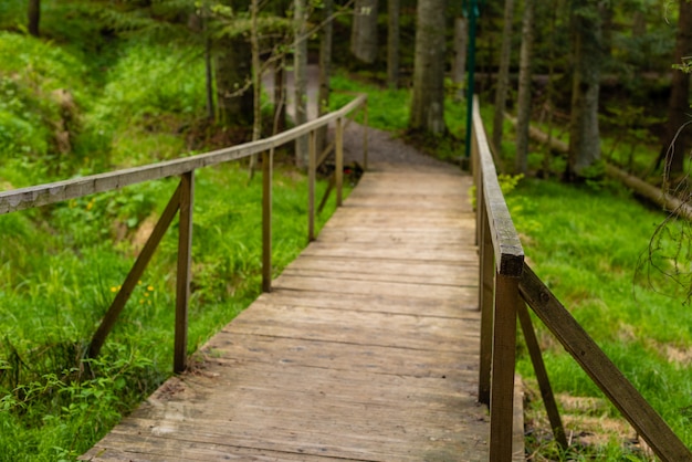 Die schöne Holzbrücke durch den Waldgebirgsfluss