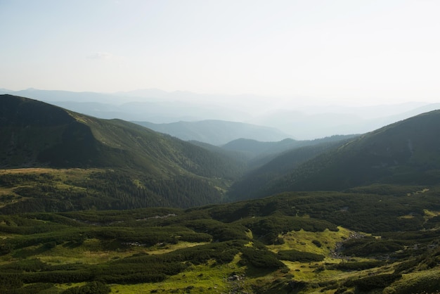 Die schöne Landschaft der grünen europäischen Berge die Karpaten