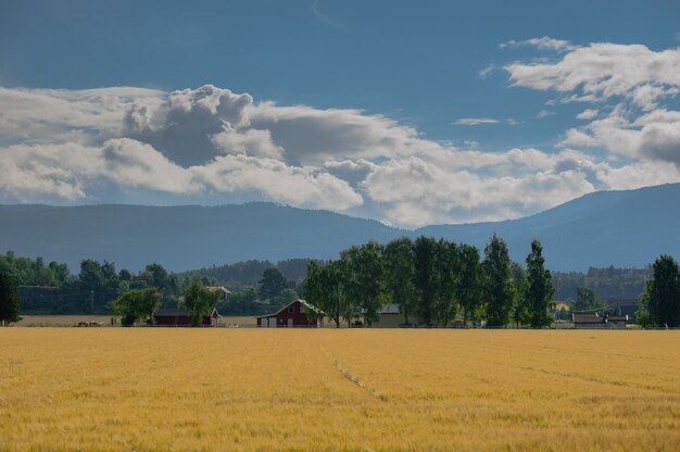 Die schöne Landschaft Norwegens im Sommer 2014