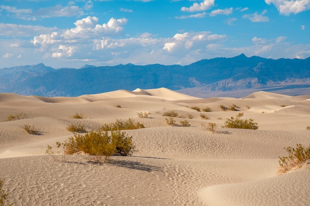 Die schöne Wüste an einem Sommernachmittag in Death Valley, Kalifornien. Vereinigte Staaten