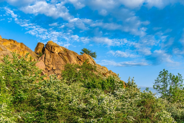 Die Schönheit der Natur in Migiya, Ukraine