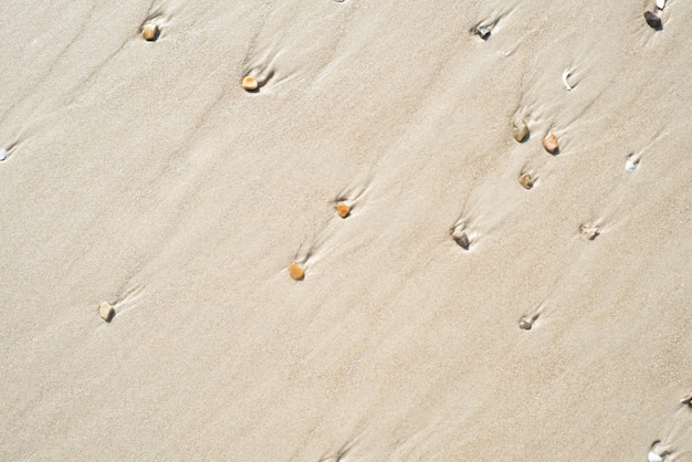 Die Schönheit der Natur Wunderbare Natur am Meer