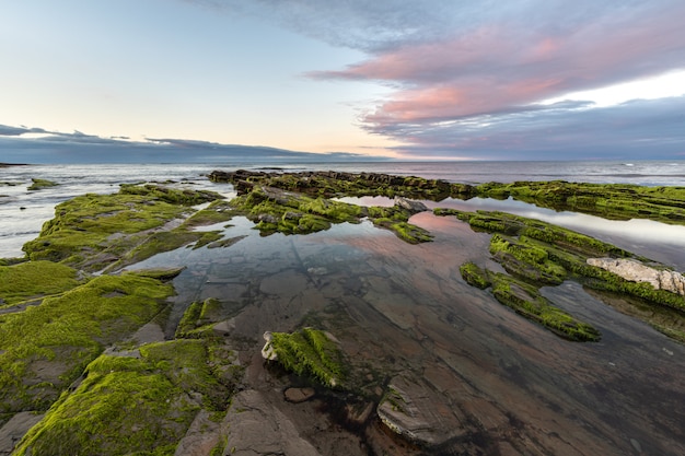 Die Schönheit der Strände Nordspaniens mit dem Moos auf den Felsen