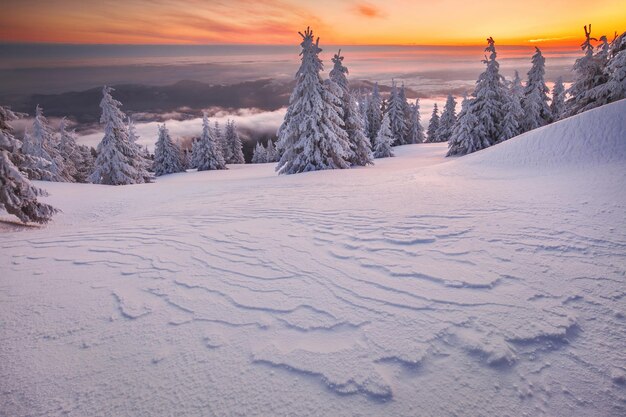 Foto die schönheit des winters auf den schneebedeckten bergen