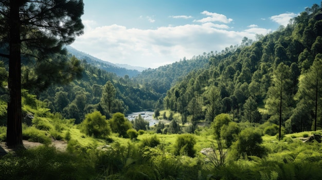Foto die schönheit eines üppig grünen waldes mit lebendiger flora und fauna steht im kontrast zu einer kargen, trockenen landschaft