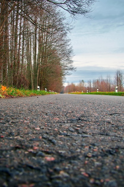 Die Seite einer herbstlichen Straßenfotografie in Bodennähe