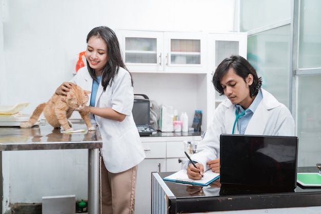 Die sitzende Katze wird von der Ärztin und dem männlichen Arzt gehalten und untersucht, die sich Notizen machen, während sie an einem Schreibtisch in der Tierklinik sitzen