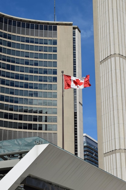 Foto die skyline von toronto