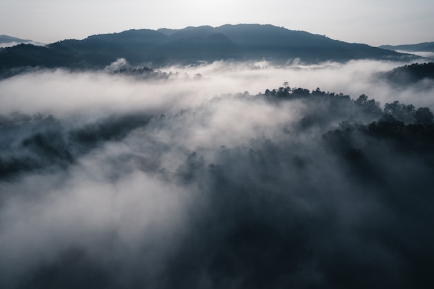 Die Sonne geht morgens im Nebel und in den Bergen auf, Morgennebel