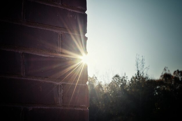 Foto die sonne scheint durch die bäume