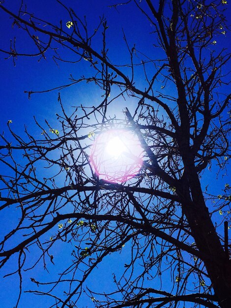 Die Sonne scheint durch die Bäume