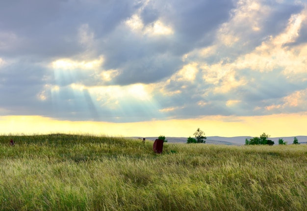 Die Sonnenstrahlen schlagen hinter den Wolken über die grasbewachsene Ebene. Sibirien, Russland