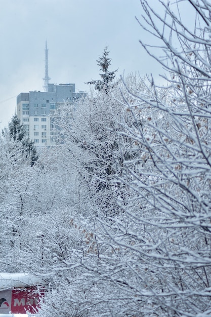 Die Stadt ist an einem frostigen Wintertag mit Frost bedeckt