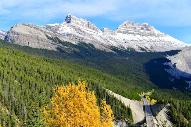 Die Straße 93 Icefield Parkway im Herbst Jasper National Park