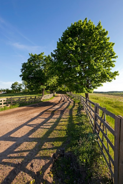 Die Straße auf einem Bauernhof - keine asphaltierte Straße auf einem Bauernhof. ländliche Gebiete.