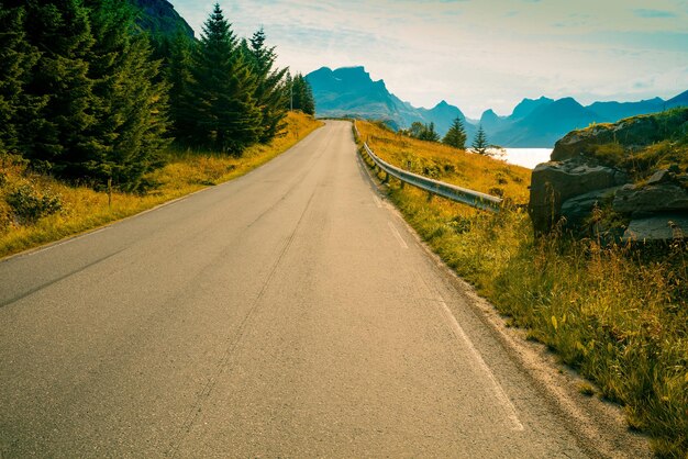 Die Straße entlang des Fjords